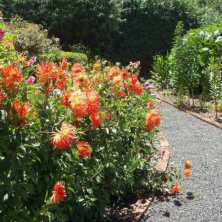 Boat Harbour Garden Cottages Exterior foto